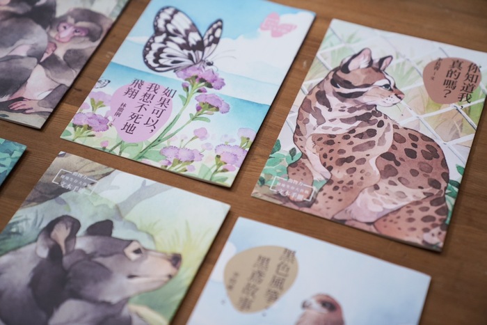 【產學合作】國立臺灣文學館 × 靜宜台文系 動物力——《棲地生存大作戰》動物文學桌遊圖片
